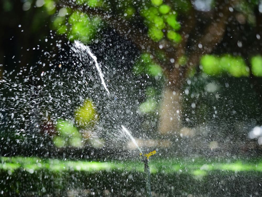 Sprinkler watering a lawn